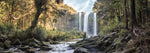 Load image into Gallery viewer, Quality fine art print of Whangarei Falls
