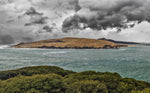 Load image into Gallery viewer, Quality fine art print of Hokianga Harbour
